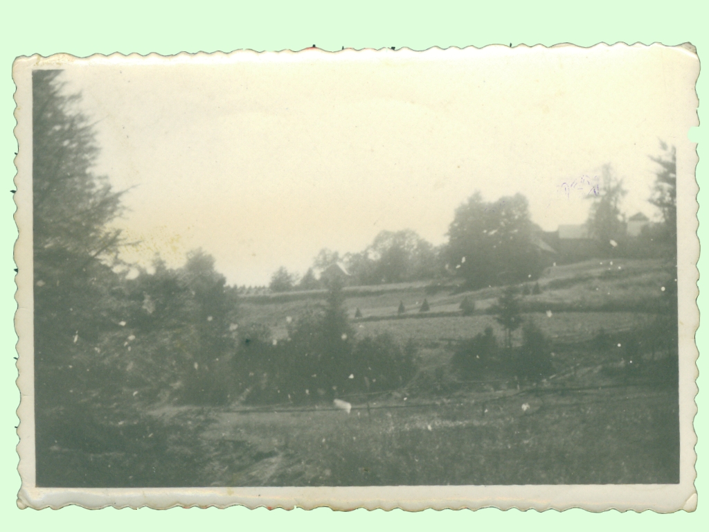 Targosz w Wspomnienia Mieszka c w